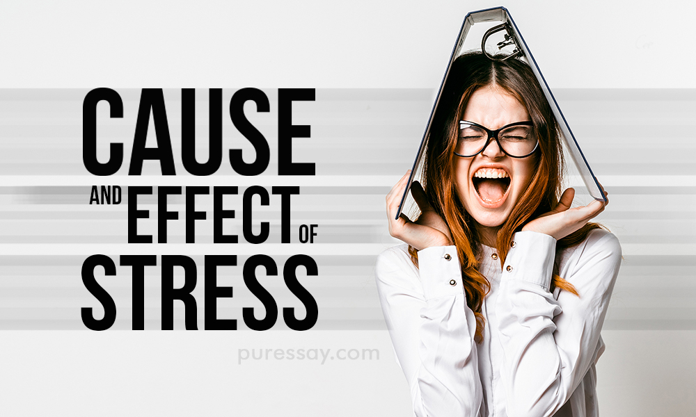 effect of stress on students essay