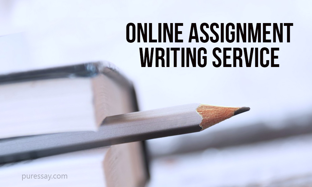 Online Assignment Writing Service